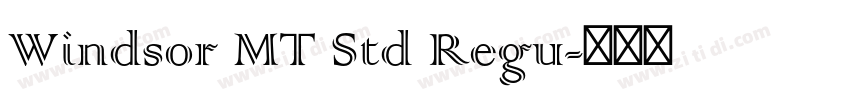 Windsor MT Std Regu字体转换